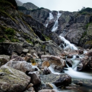 Moisés Suárez psicólogo aprender a fluir